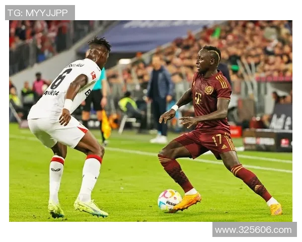 北京排球队奋勇拼搏走向世界杯的辉煌之路与突破历程