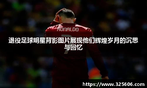 乐动LDSports综合体育